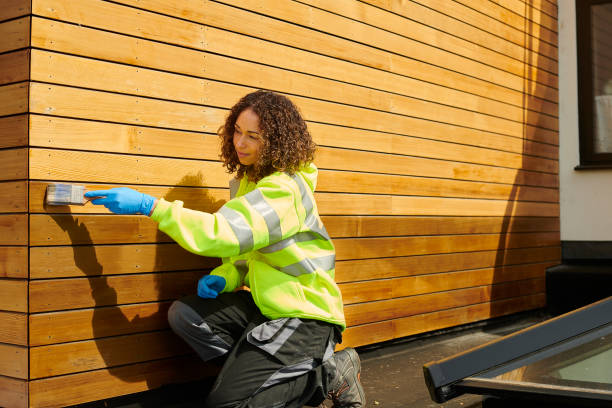 Best Custom Siding Design  in Mira Monte, CA